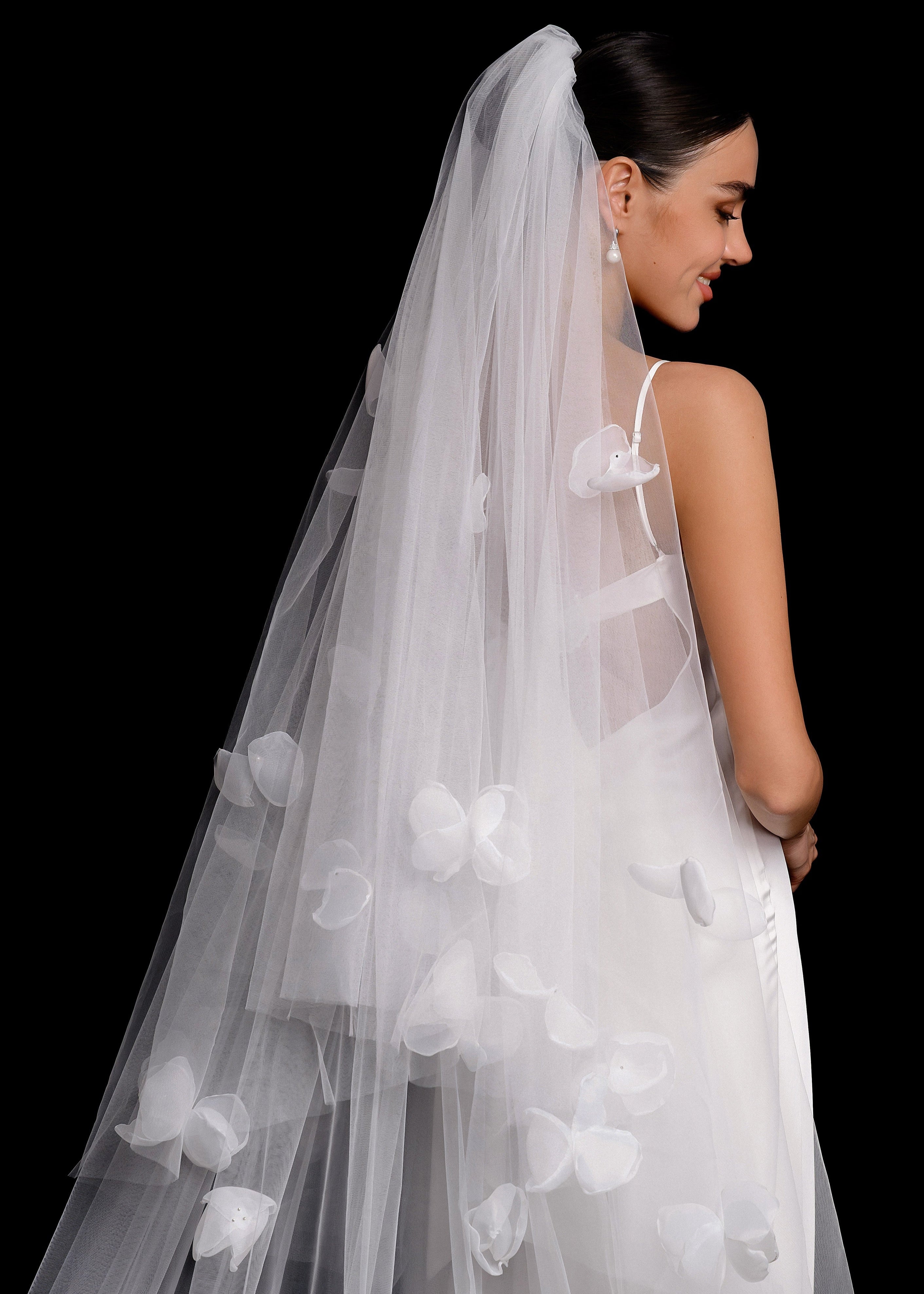 Veil Astra