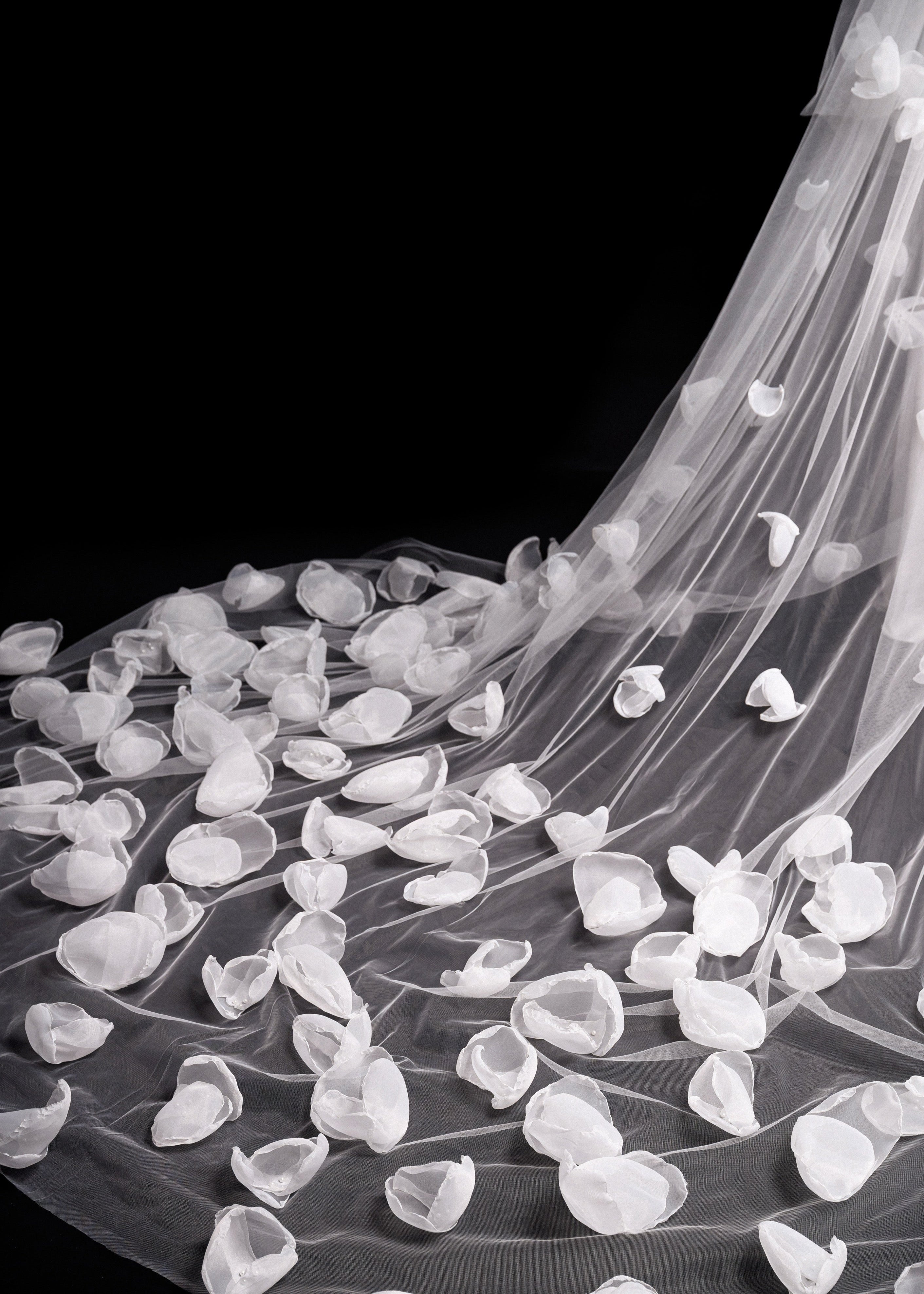 Veil Astra