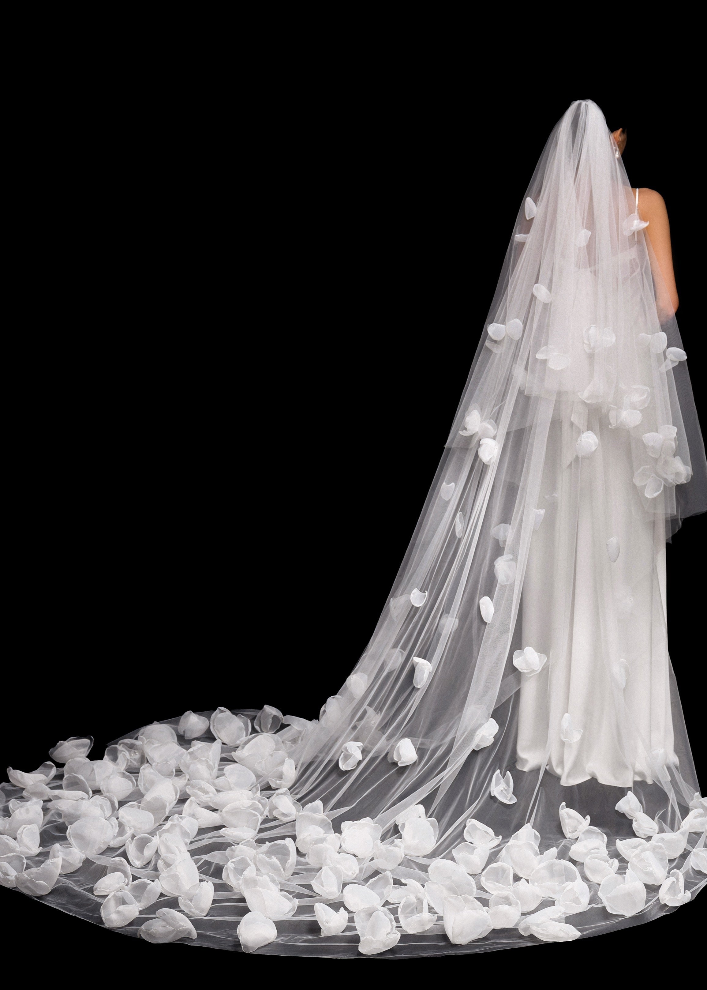 Veil Astra