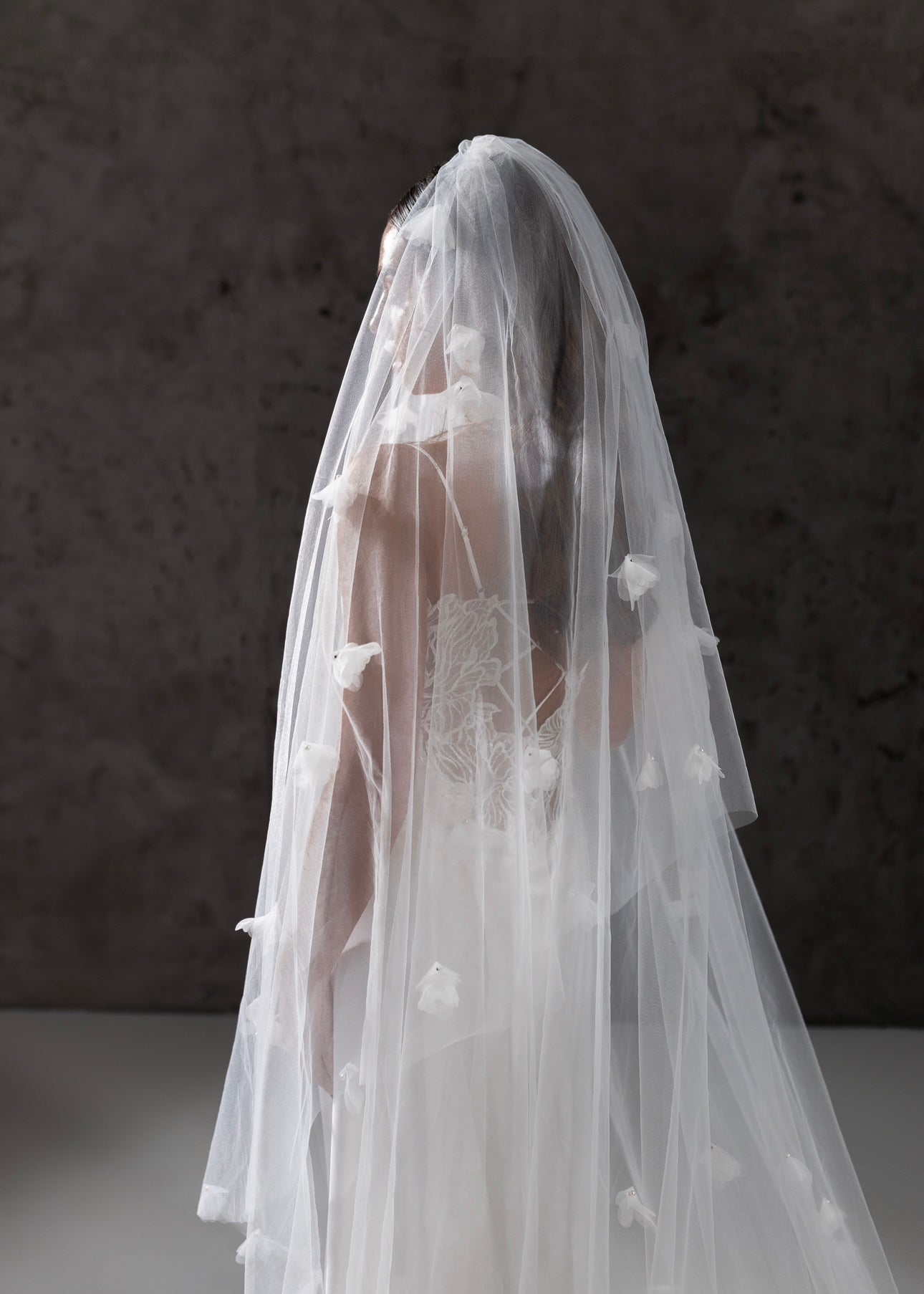 Veil Sample Kris