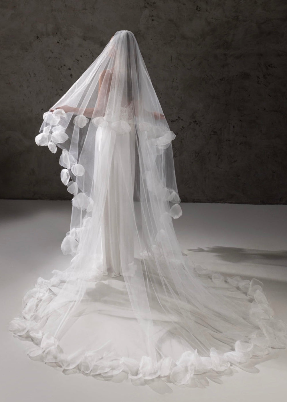 Veil Alice