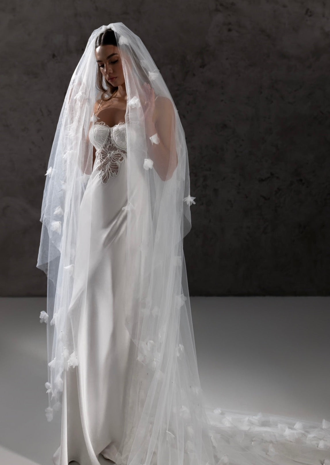 Veil Sample Kris