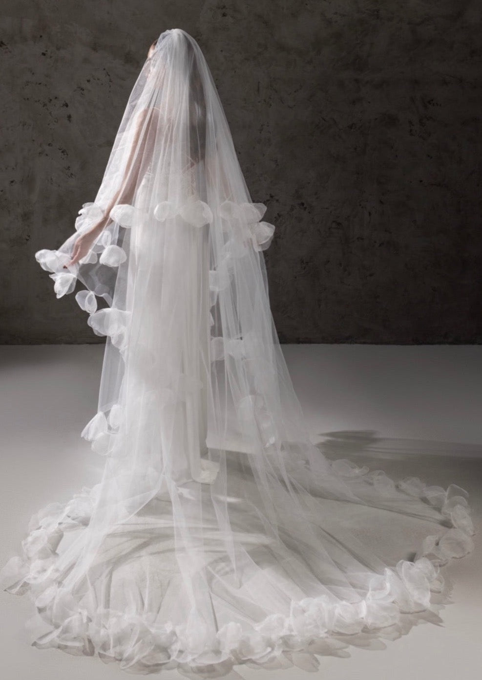 Veil Alice