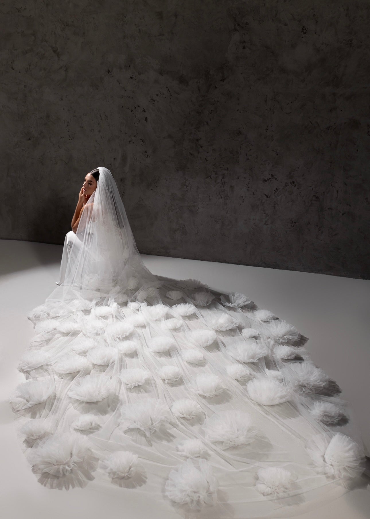 Veil Gloria